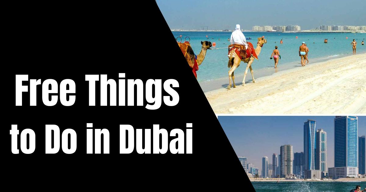 Free Things to Do in Dubai